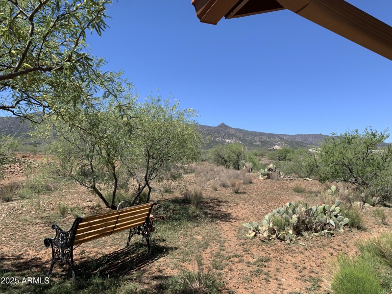 Backyard to Prescott Forest