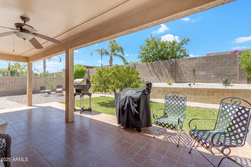 Spacious private yard and covered patio