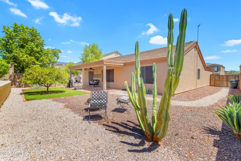 Backyard and West Side Yard