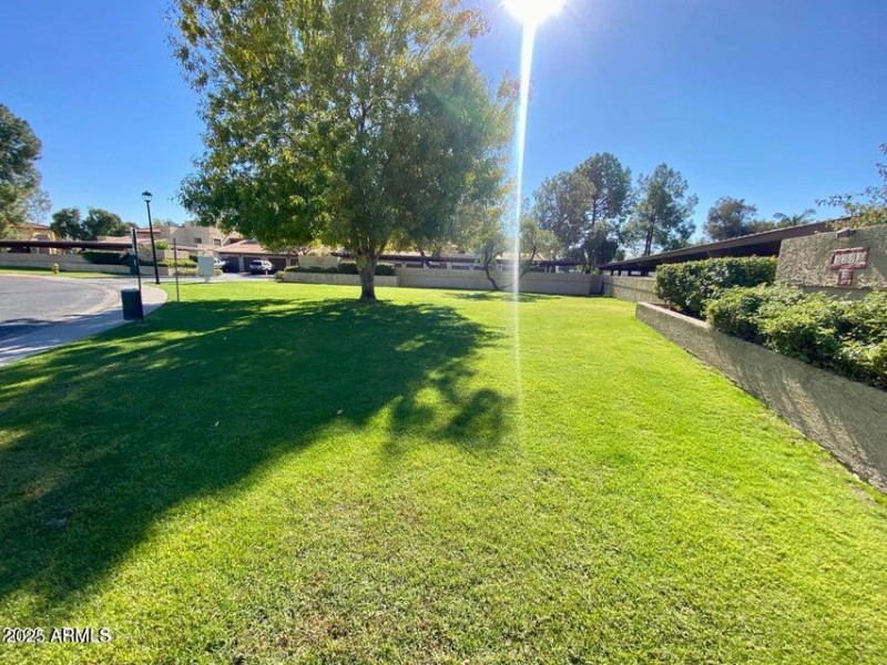 Dog Park