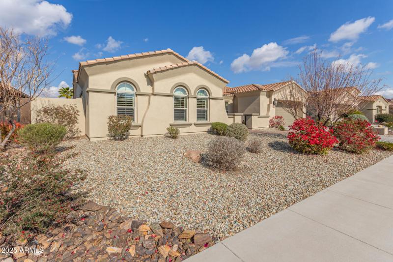 And easy upkeep desert landscaping