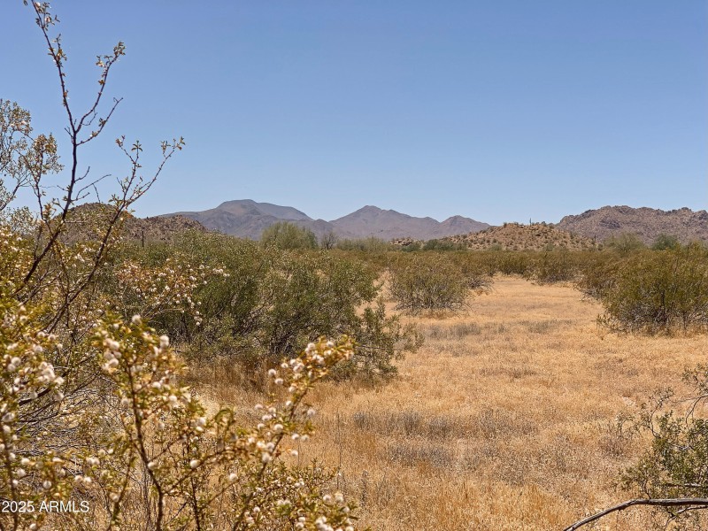 Come Home to the Country!