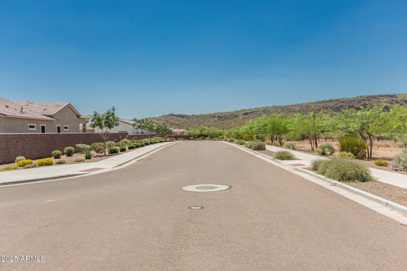 2 - White Feather 3816