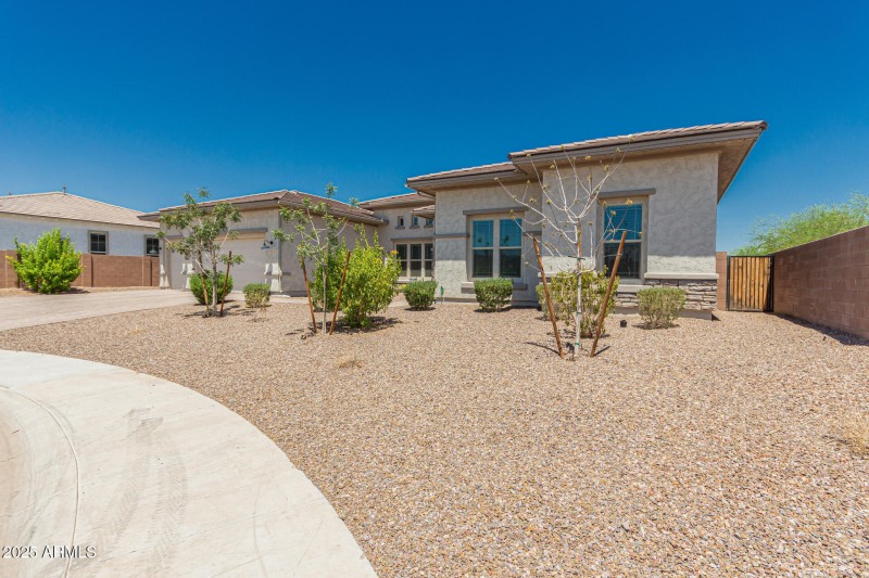 4 - White Feather 3816