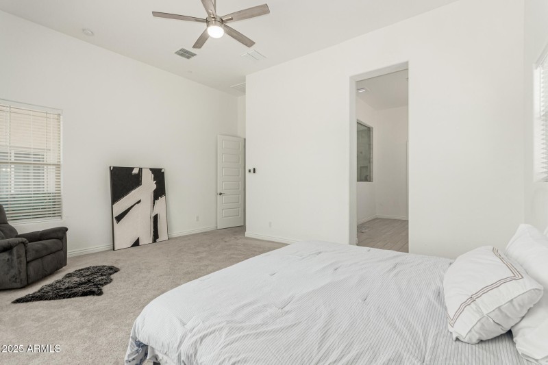 25 - White Feather 3816