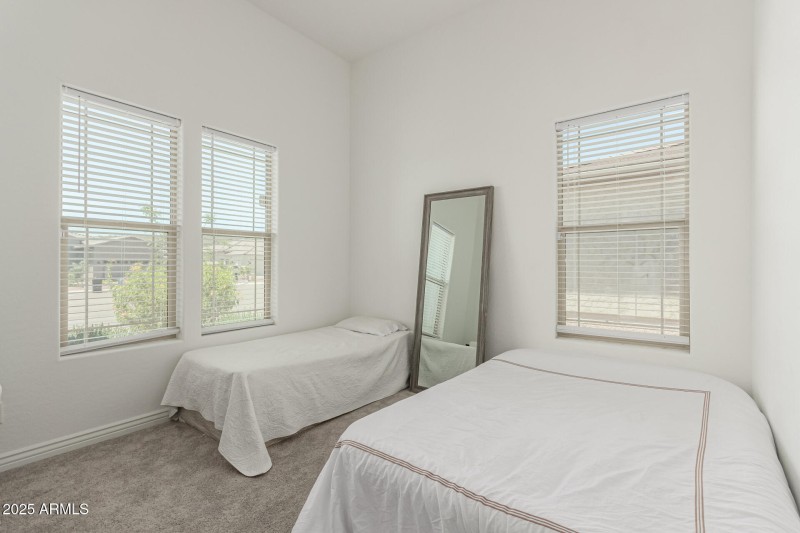 35 - White Feather 3816