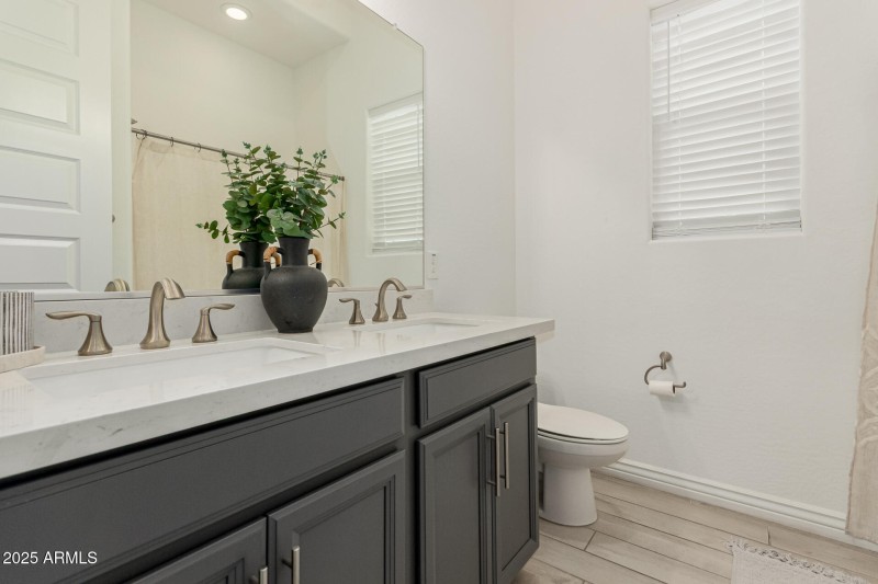 42 - White Feather 3816