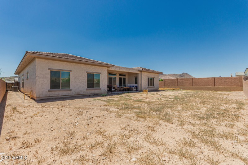 52 - White Feather 3816