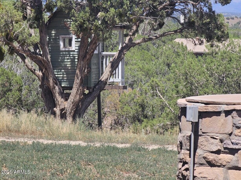 TreeHouse