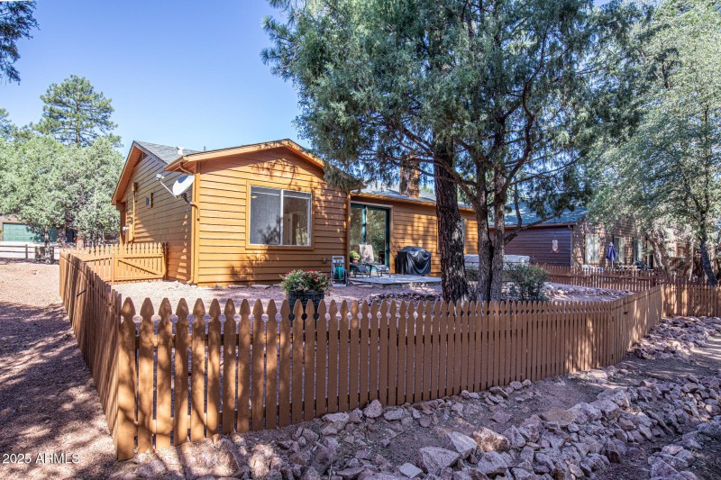 Backyard from Forest