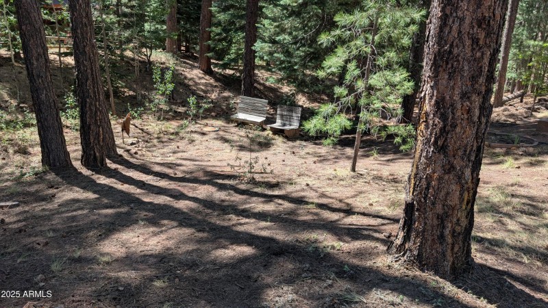 PXL_20250725_213159202.MP