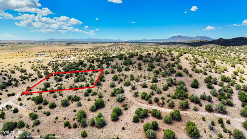 Aerial (8) Lot Lines D2