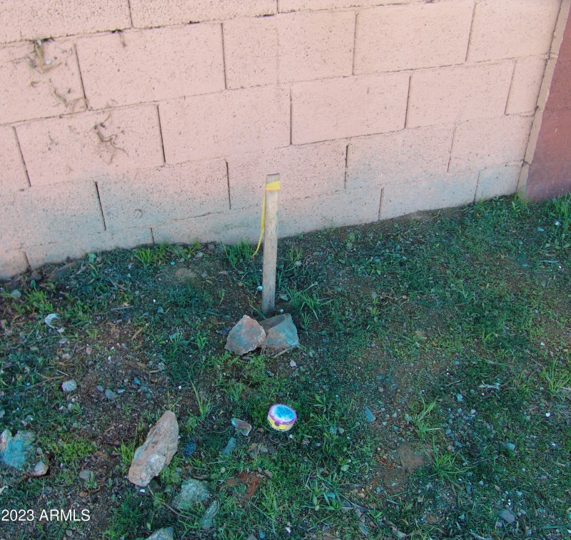 REAR LOT STAKE EAST CORNER MLS DSC06872