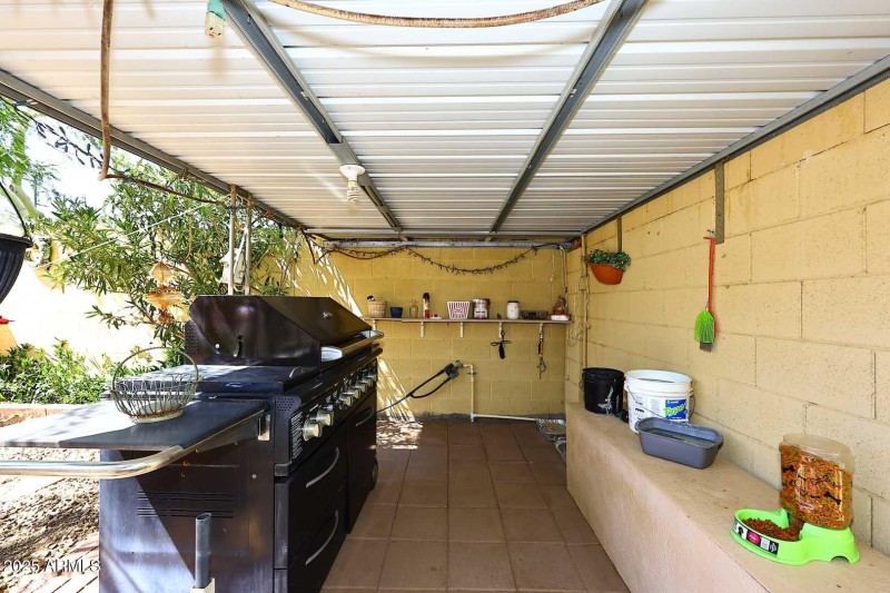 BBQ Grill-Cover
