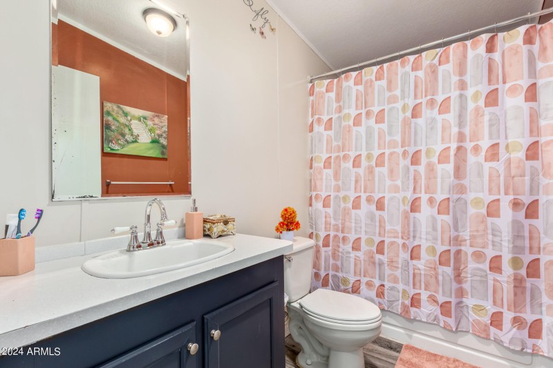 Hall Bathroom
