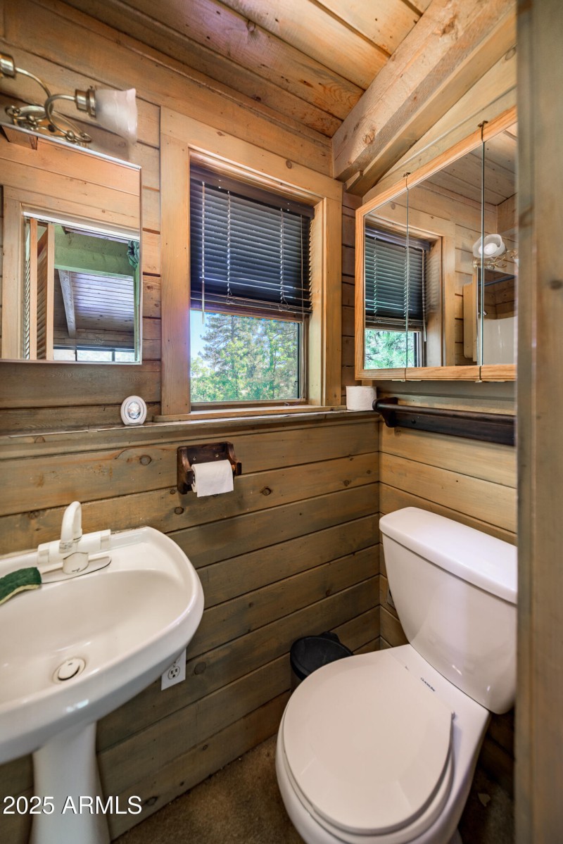 4680 Mormon Lake Rd, Mormon Lake (17 of
