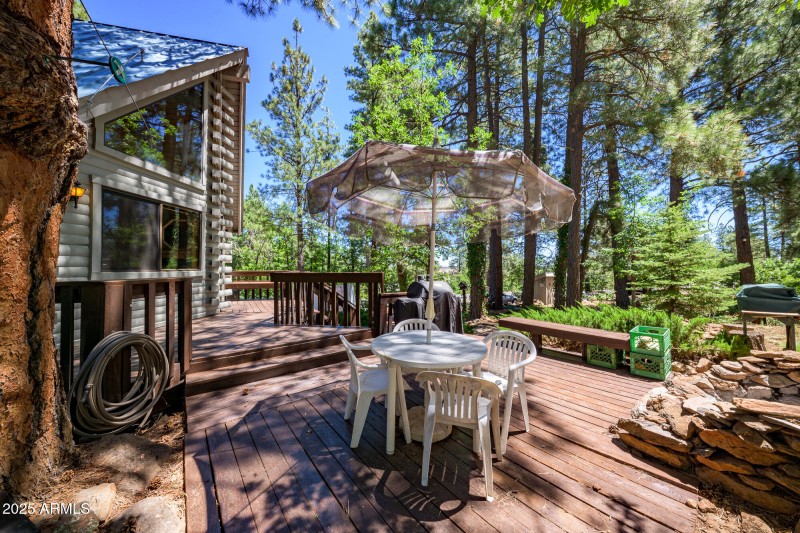 4680 Mormon Lake Rd, Mormon Lake (25 of