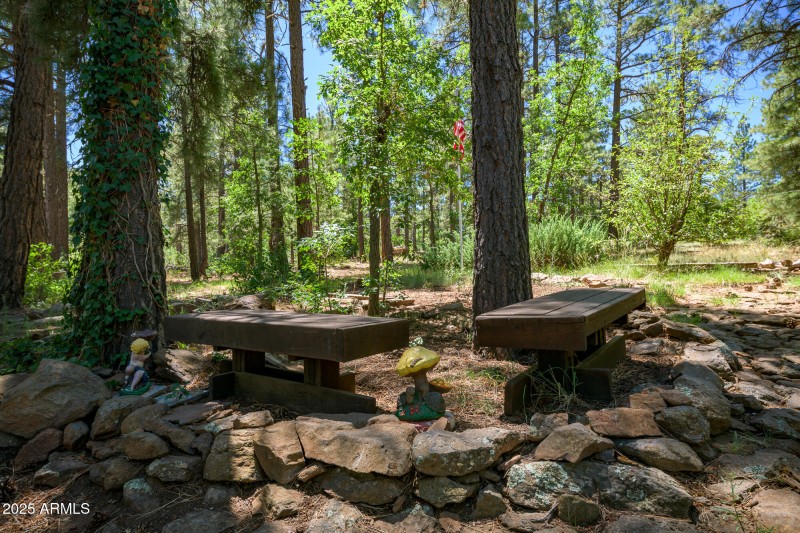 4680 Mormon Lake Rd, Mormon Lake (22 of