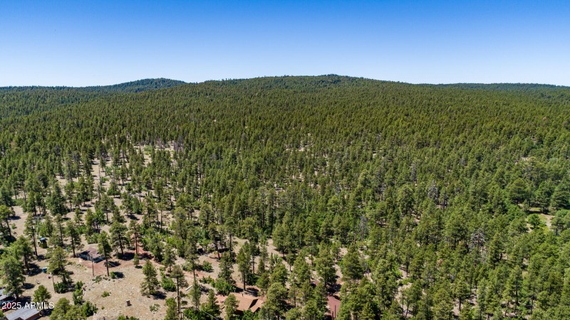 4680 Mormon Lake Rd, Mormon Lake (32 of