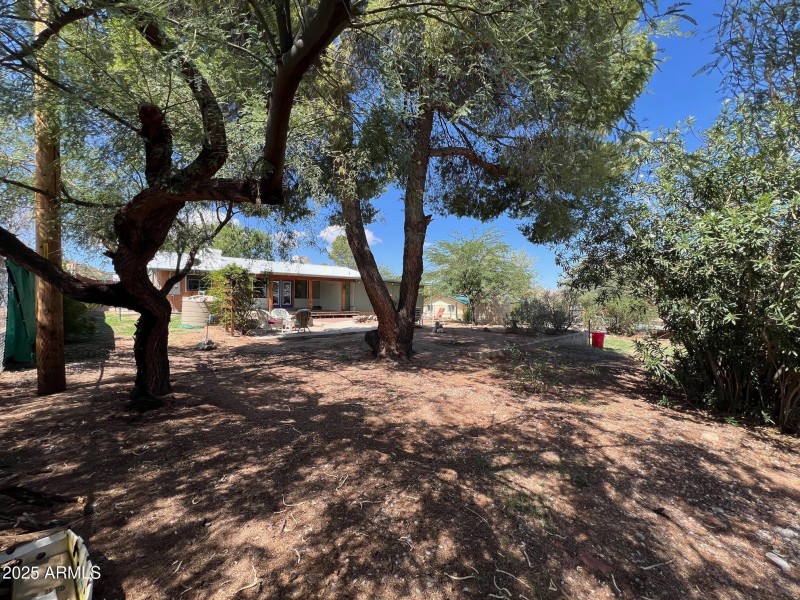 Back yard