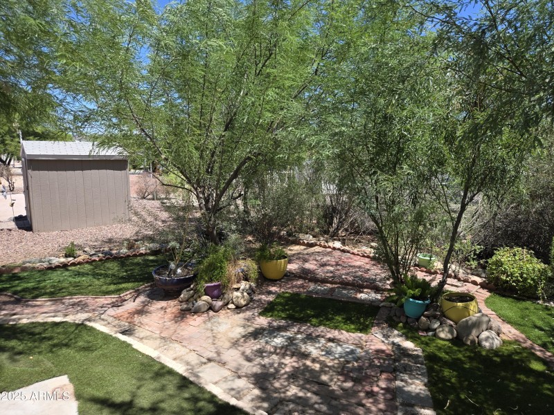 Backyard