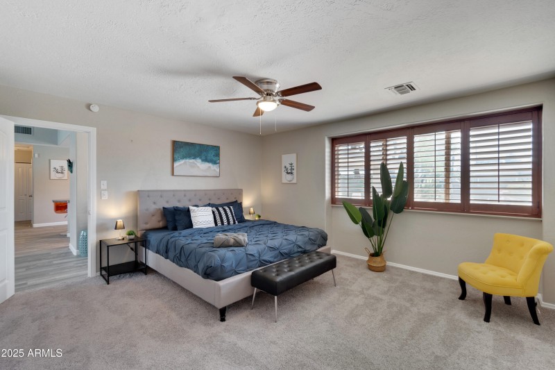 Copy of dsc_5729-dsc_5731