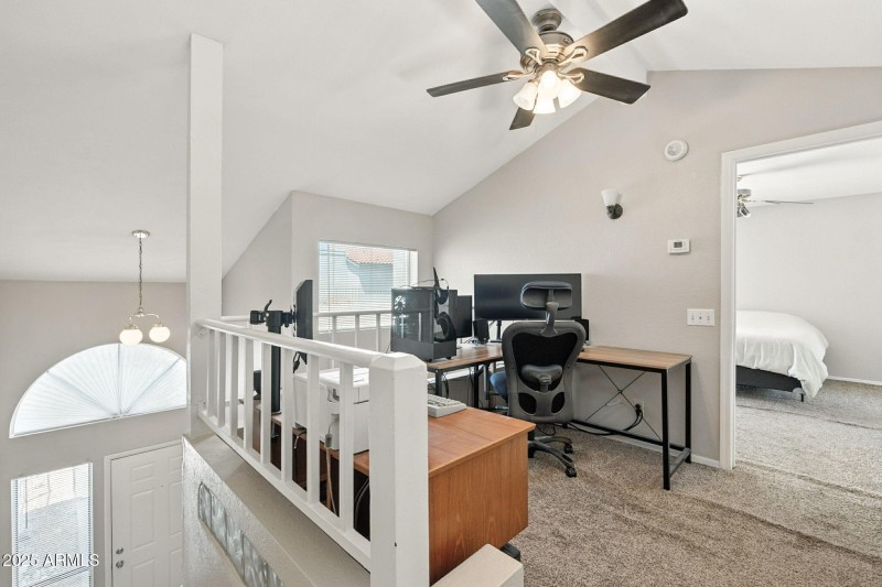 16-web-or-mls-Orchid-16