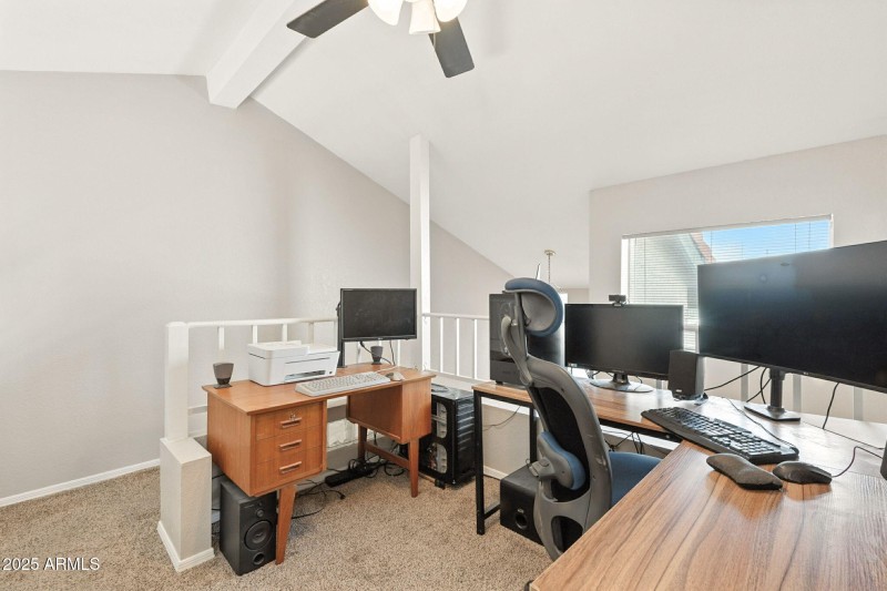 17-web-or-mls-Orchid-17