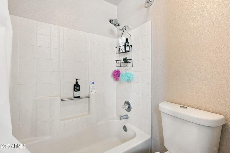 24-web-or-mls-Orchid-24