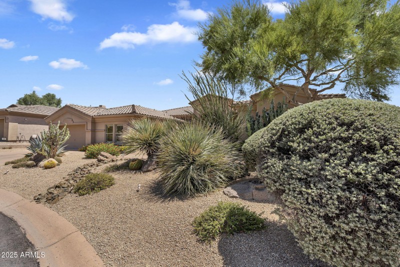 4-web-or-mls-99th-03