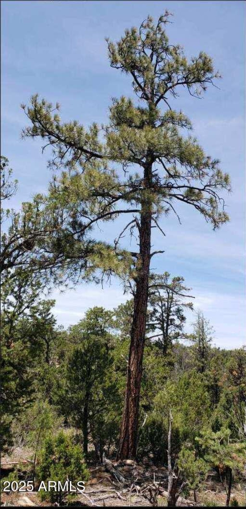 Resized_Screenshot_20250722_120834_Outlo