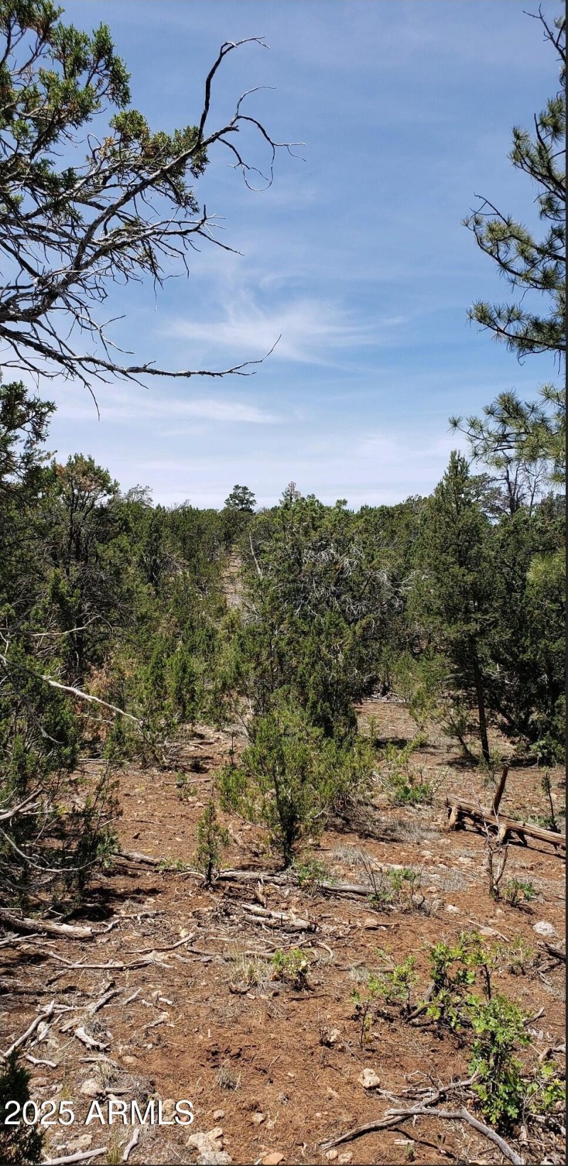 Resized_Screenshot_20250722_120534_Outlo