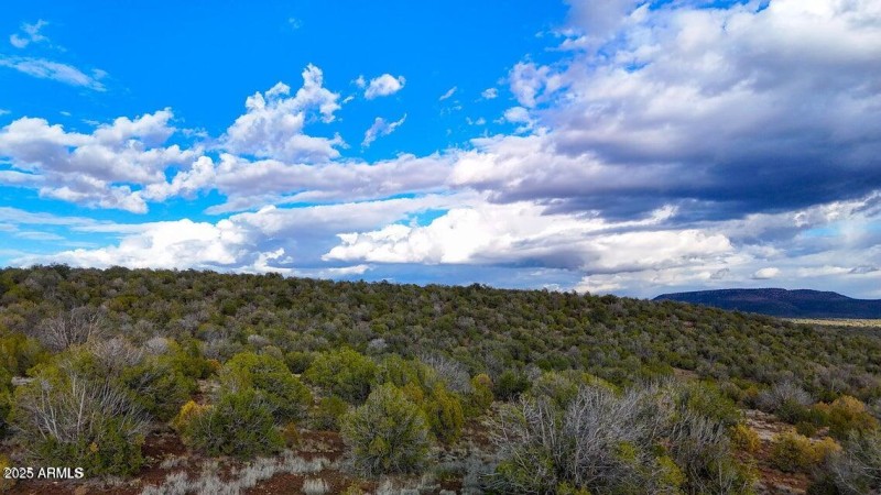 20250617194825315679000000-o