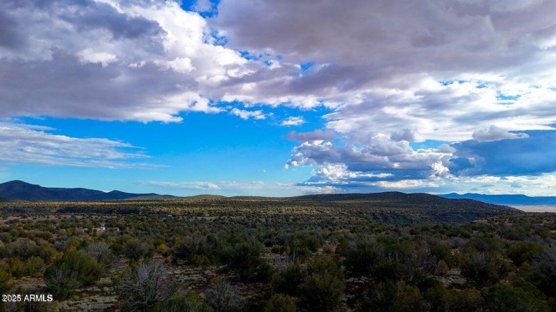 20250617194822745133000000-o