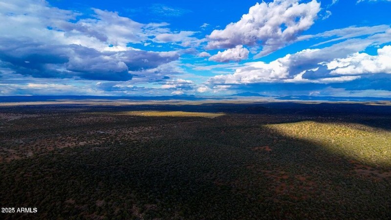 20250617194745194355000000-o