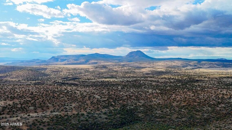 20250617194738595378000000-o