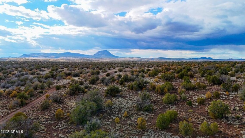 20250617194736591689000000-o