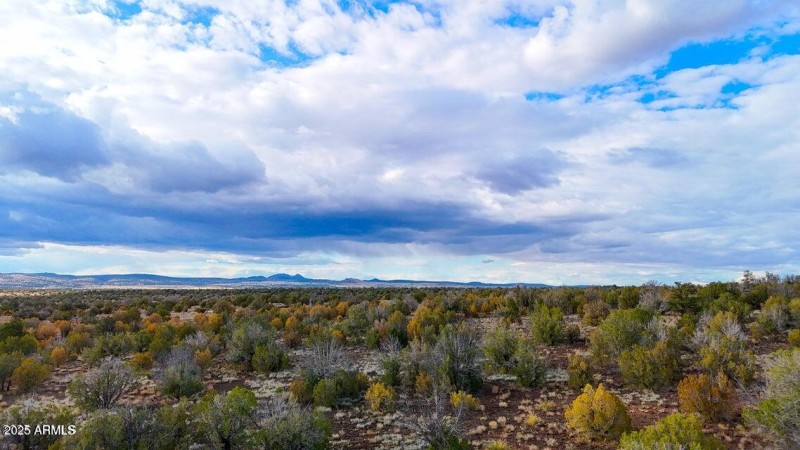 20250617194817363415000000-o