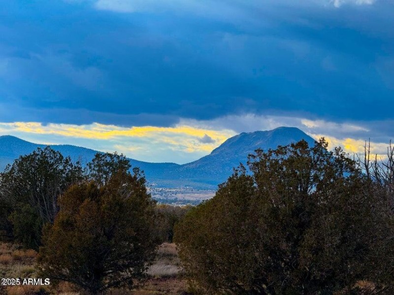 20250617194826824681000000-o