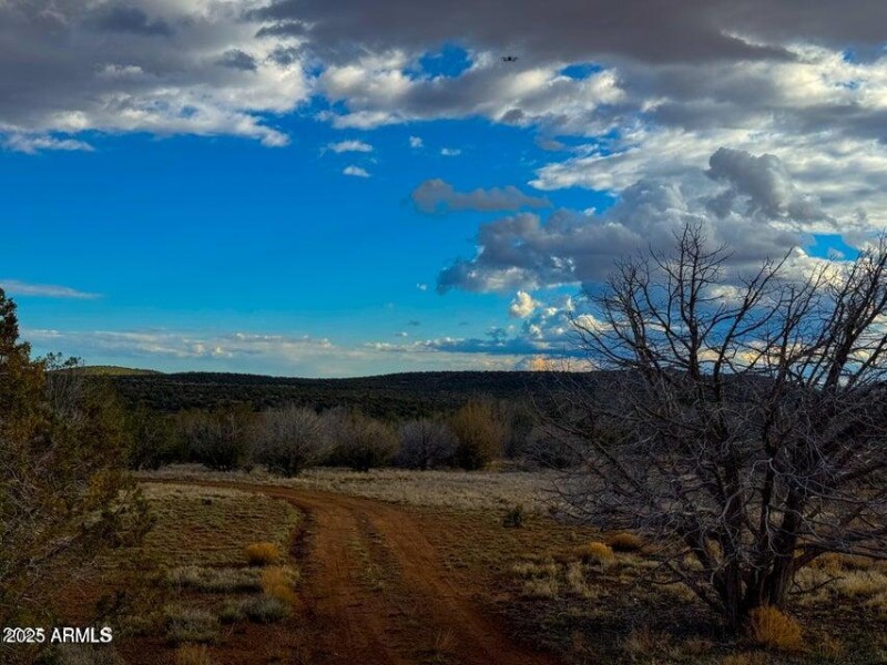 20250617194831323893000000-o