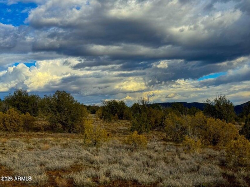 20250617194834978992000000-o