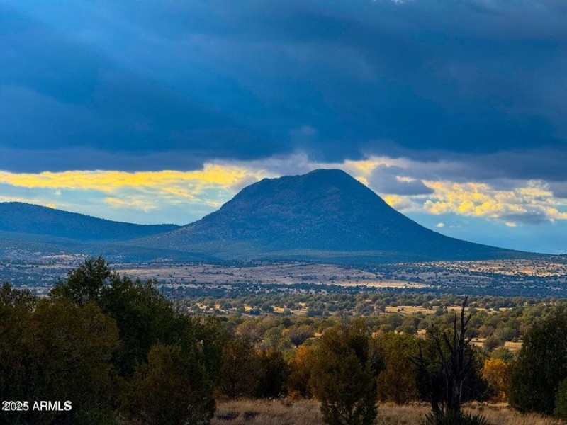 20250617194844431694000000-o