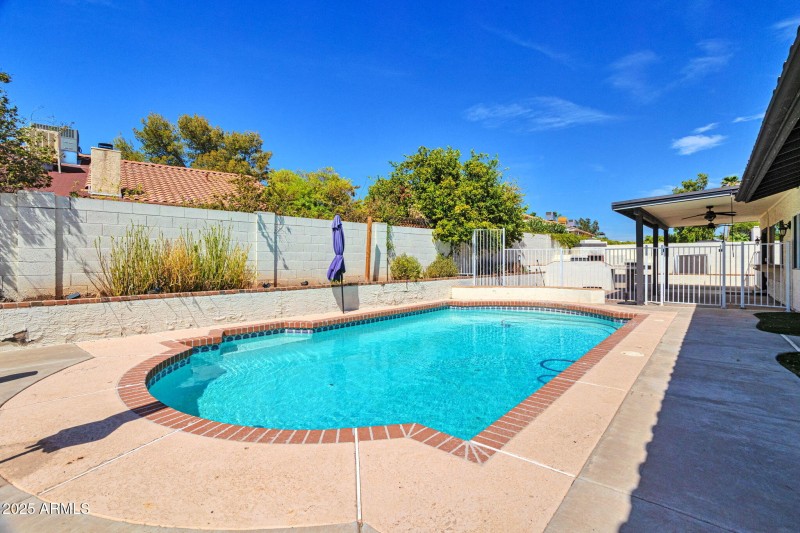 Pool with Covered Patio