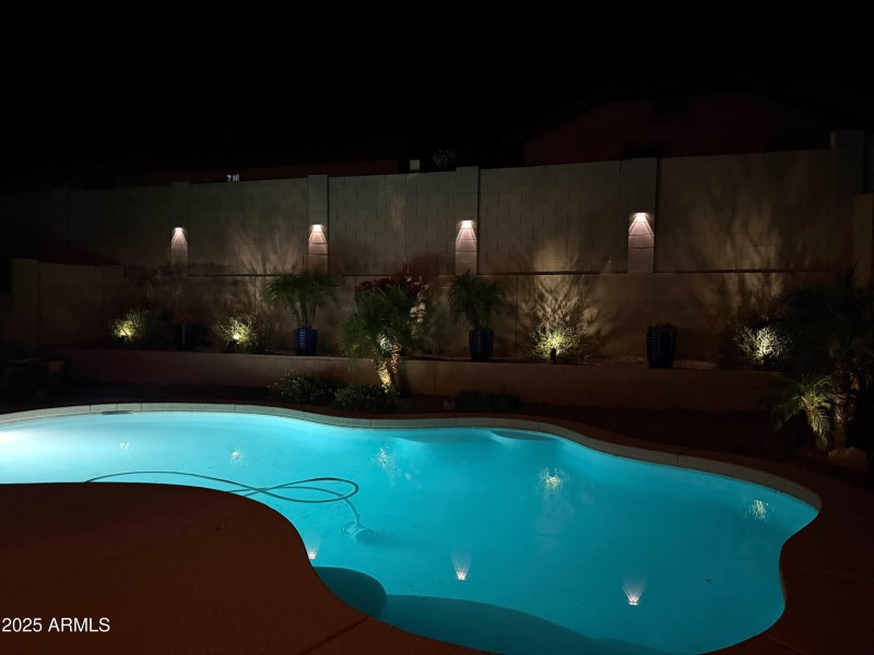 Cutliffe Night Backyard 1