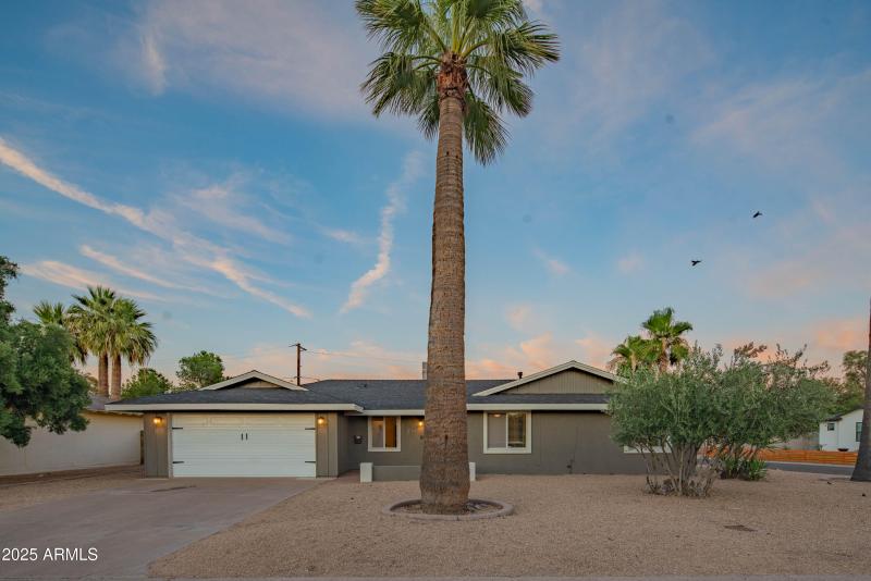 craigrootimaging_70-52