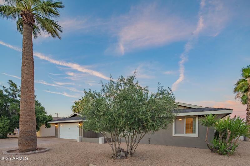 craigrootimaging_70-54