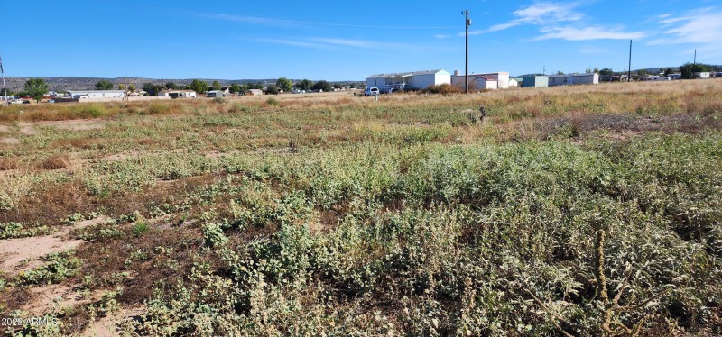 Estimated Corner SWC