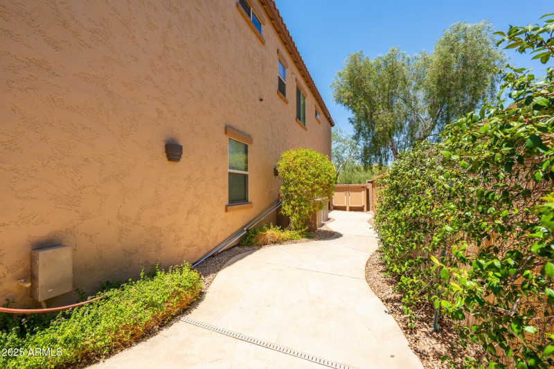 DSC01031-Enhanced-NR