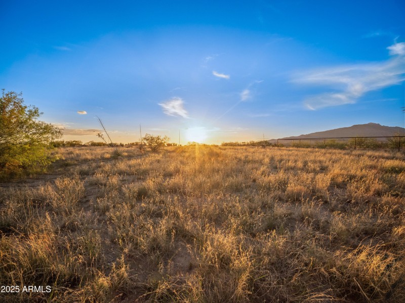 You'll fall in Love Here !