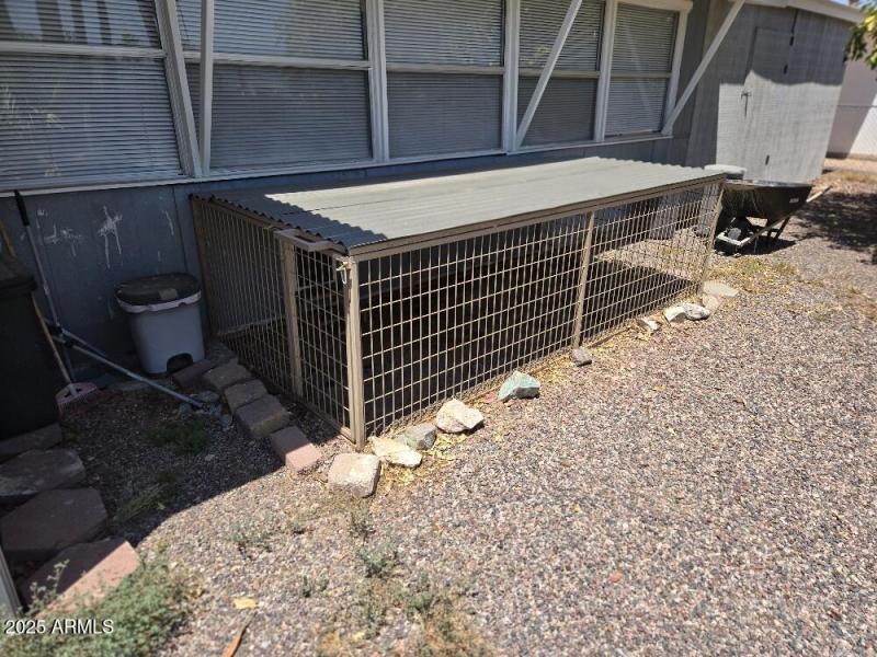 20250808_115154_resized